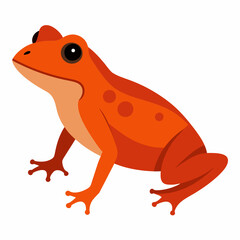 Common coqui frog art vector illustration
