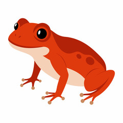 Common coqui frog art vector illustration