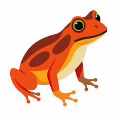 Common coqui frog art vector illustration