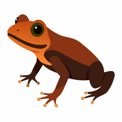 Common coqui frog art vector illustration