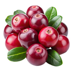 Cranberries isolated on transparent background