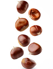 Obraz premium Group of chestnuts falling vertically freely on white background