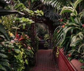 Botanical garden pathway with flora and greenery