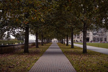 path in a park with trees surrounding it