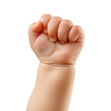Close-up of a baby&rsquo;s chubby hand making a fist, isolated on a transparent background.