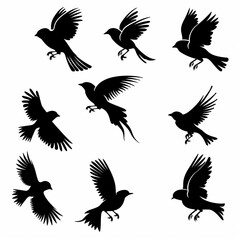 Obraz premium Bird icon set, black and white silhouettes, sparrow symbols, bird sign collection, graffiti spray