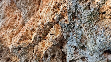 A rock with a lot of holes and a brownish color