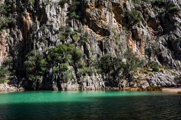 beautiful nature in mallorca, spain