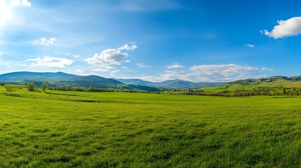 Naklejka premium Lush Green Landscape Under Clear Sky