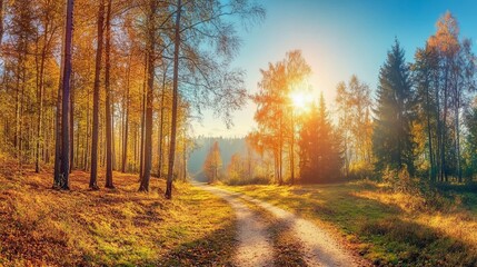 Obraz premium Serene Autumn Forest Path