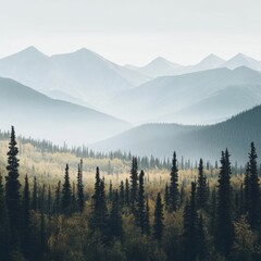 Obraz premium Yukon Territory's Heritage Day Celebration: A Majestic Landscape of Forests and Mountains Embracing the Natural Legacy of February 25th