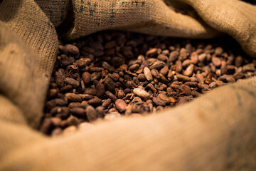 Coca Beans in a bag