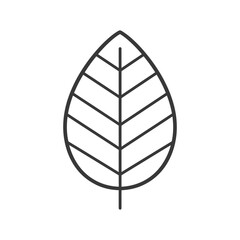 Outline Illustration of a Single Leaf with Veins