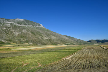 Naklejka premium Castelluccio di Norcia the roof of the Apennines and the heart of the Sibillini Mountains
