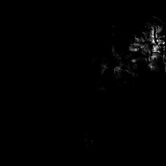 Distressed Black and White Grunge Texture Overlay