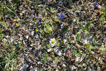 Castelluccio di Norcia the roof of the Apennines and the heart of the Sibillini Mountains