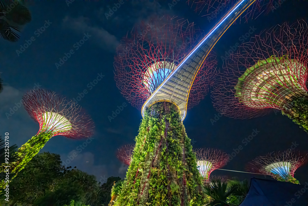 Canvas Prints Singapore - September 13, 2023: Illuminated supertrees of Gardens by Bay nature park at night