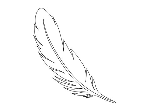 recommend clip art: Continuous one line drawing of exotic bird feather. Feather single line vector illustration. Editable line vector.