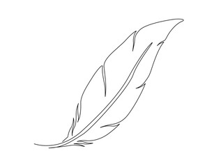 Continuous one line drawing of exotic bird feather. Feather single line vector illustration. Editable line vector.