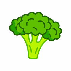 Hand drawn Broccoli Broccoli cauliflower green salad in simple primitive style Vegetables (3)