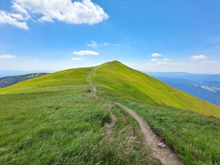 Fototapeta premium path to the mountains Slovakia Tatry Nizke