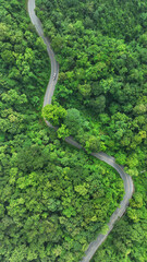 Aerial view of a road in the middle of the tropical rainforest , Ecosystem ecology healthy environment road trip travel.