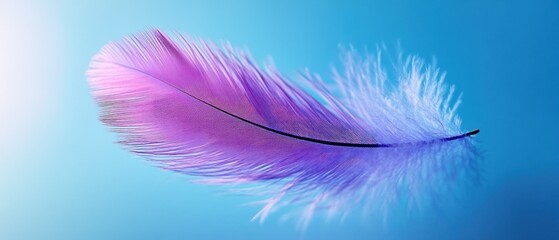 Obraz premium A Single Purple Feather Against a Blue Background