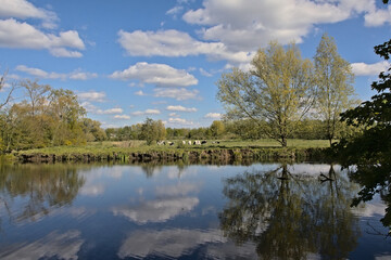 Fototapeta premium Pool with reflection of trees, blue sky and clouds on a sunny spring day in Bourgoyen nature reserve, Ghent, Flanders, Belgium 