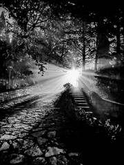 Naklejka premium Una notte in bianco e nero