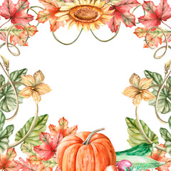 Square frame with pumpkin, leaves, sunflower, zucchini, beetroot, carrot in watercolor illustration. Harvest theme composition for exhibitions and fairs. Illustration isolated from background.