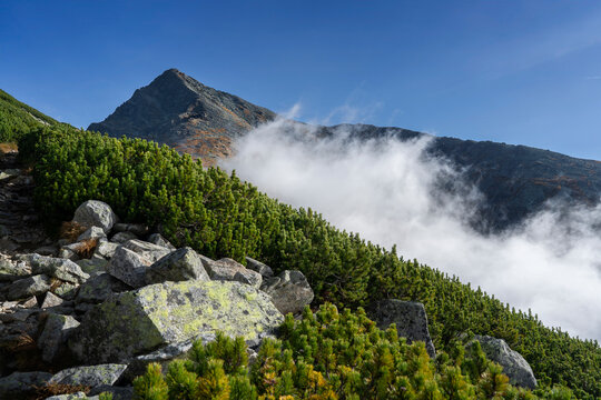 Krywan - a mountain in the High Tatras, Slovakia. Peak ranked as the country's most beautiful, symbolic holy mountain. Amazing morning fog on the mountainside (Tatry)