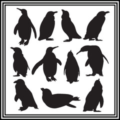 Naklejka premium Penguin silhouette set , wildlife animal illustration.