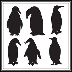 Fototapeta premium Penguin silhouette set , wildlife animal illustration.