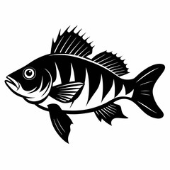 Perch Black silhouette