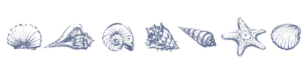 Seashells set textured sketches, mollusks, underwate sealife, vector hand drawn illustration isolated on white