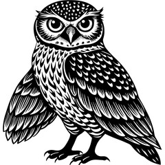 owl on a branch