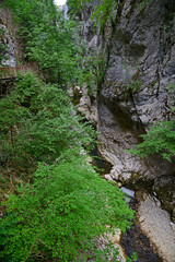 A view from the Horma Canyon hike in Pinarbasi, Kastamonu, Turkey
