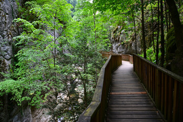 A view from the Horma Canyon hike in Pinarbasi, Kastamonu, Turkey
