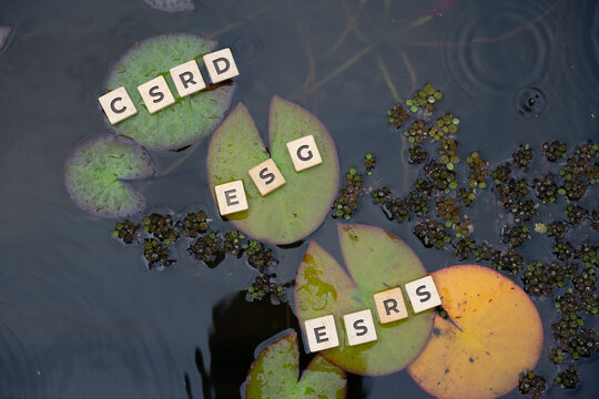 Wooden tiles with sustainability related abbreviations like CSRD, ESG and ESRS placed on water lilies in a pond