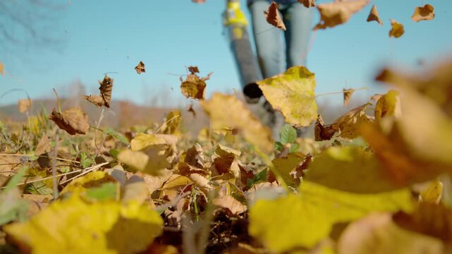SLOW MOTION, CLOSE UP, LOW ANGLE: Unrecognizable female gardener uses a leaf blower to clear the lawn of dry leaves. Woman uses a leaf blower to clean up her backyard full of autumn fallen leaves.