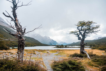 Paisajes de la Patagonia Argentina donde se pueden ver los caminos, las rutas y los senderos entre...