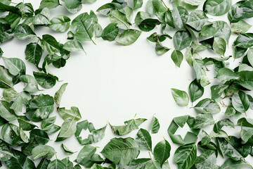 Green Leaves Frame on White Background - Fresh and Natural Botanical Design with Eco-Friendly and Nature-Inspired Elements
