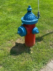 Two toned fire hydrant