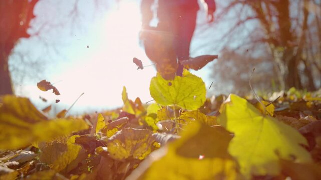 SLOW MOTION, CLOSE UP, LOW ANGLE, LENS FLARE: Female landscaper uses a leaf blower to clear the lawn on a sunny autumn day. Detailed shot of a woman using a leaf blower to clear leaves from the yard.