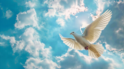 Obraz premium Dove in the sky. 