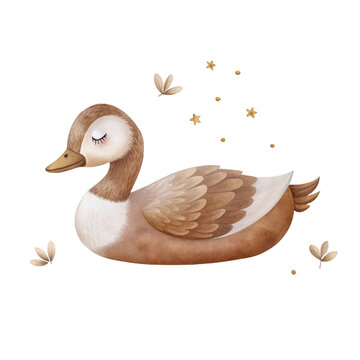 recommend clip art: Sleeping little goose watercolor isolated clipart baby clothes, pattern and textile