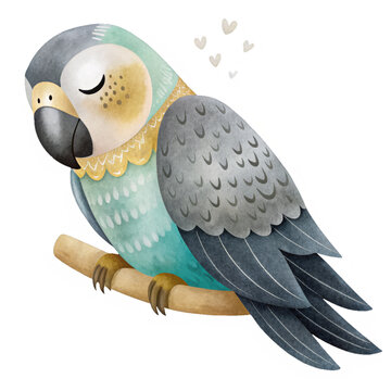 Sleeping parrot watercolor isolated clipart children's clothing, pattern and textile