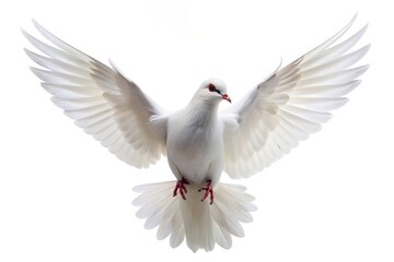 Fototapeta premium A white dove with outstretched wings, symbolizing peace, hope, purity, spirituality, and new beginnings.