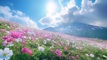 Colorful flower field with mountains and bright sky in daytime