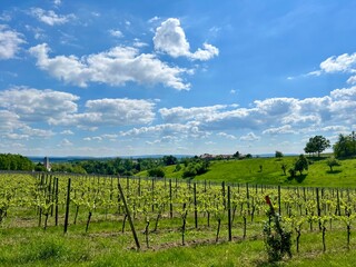 Obraz premium Franken